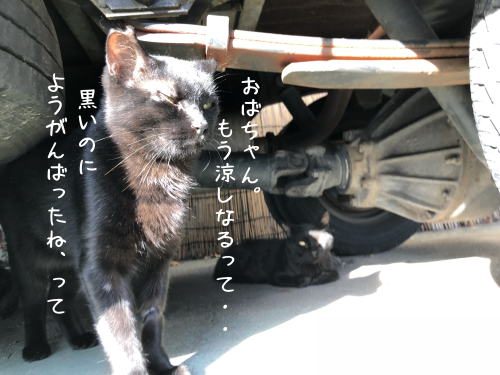 a0216583_21571733.png