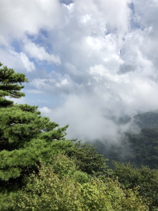 2018年8月21日 モノトーン 墨色_b0098584_17465684.jpeg