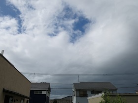 e0130185_959179.jpg