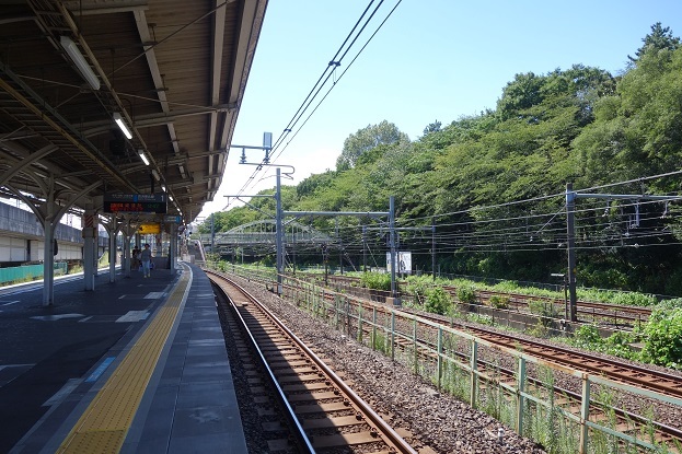 d0183387_13243999.jpg