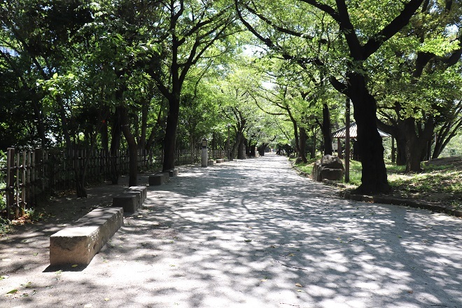 d0183387_13405417.jpg