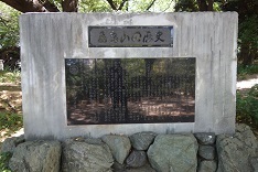 d0183387_14150809.jpg