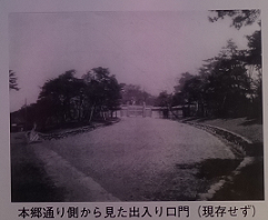 d0183387_17155973.png