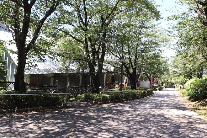 d0183387_17523677.jpg