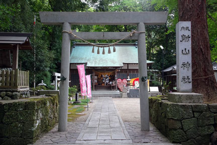 お宮さんの大木_b0145296_08413077.jpg