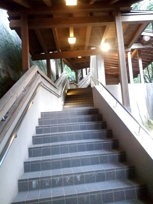 a0236300_11351797.jpg