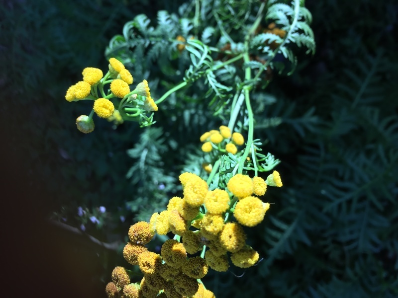 b0220002_20174520.jpeg