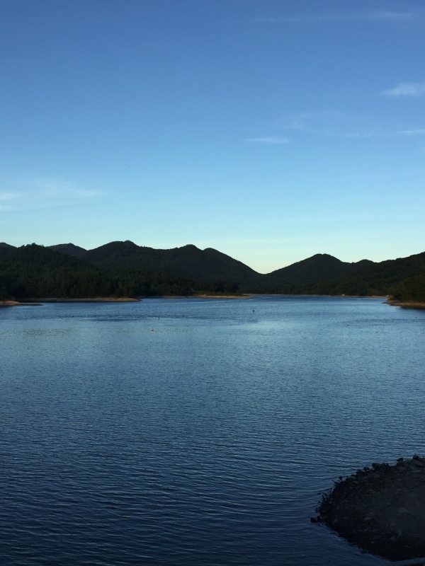 f0378208_20323078.jpg