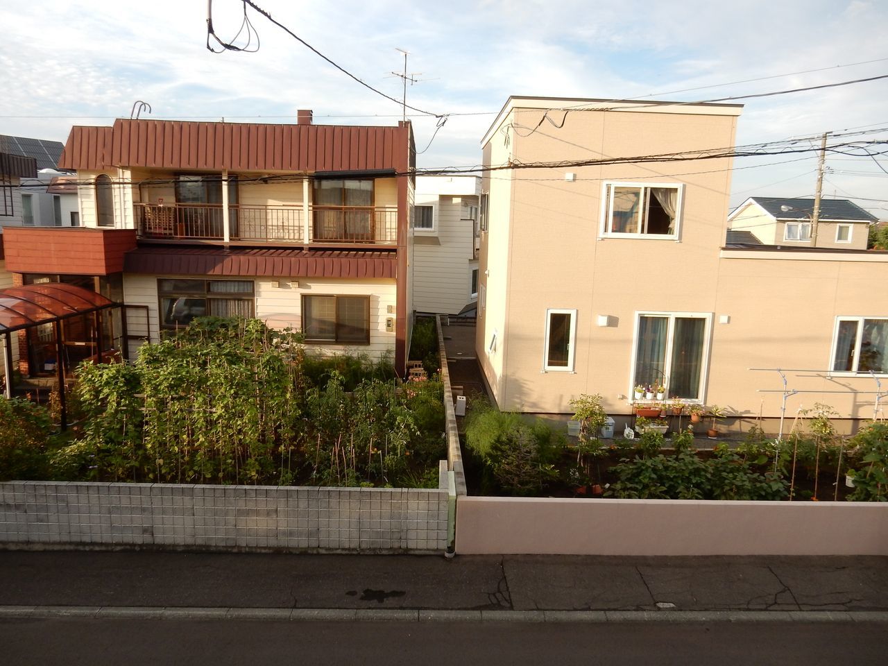 雷雨去り蒸し暑い一日_c0025115_21263339.jpg