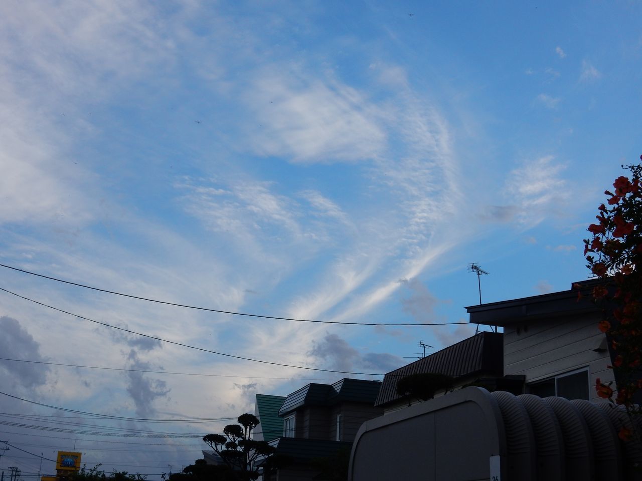 雷雨去り蒸し暑い一日_c0025115_21271598.jpg