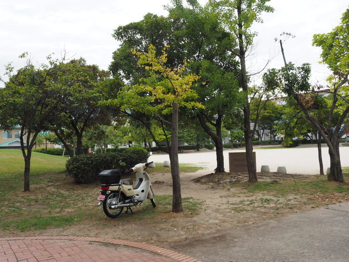 佐伯区民文化センター&五日市中央公園_c0116915_00030853.jpg