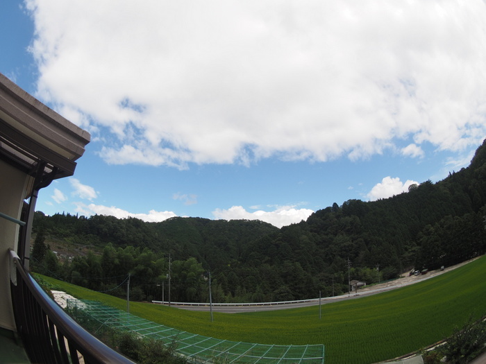 午後から晴れた_c0116915_00120800.jpg