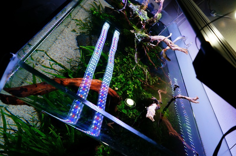 c0119618_20283130.jpg