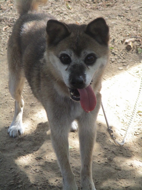 f0078320_01091604.jpg