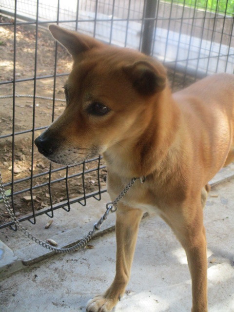 f0078320_01274964.jpg