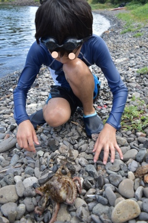 f0362524_21110722.jpg