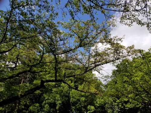 e0016828_10133023.jpg
