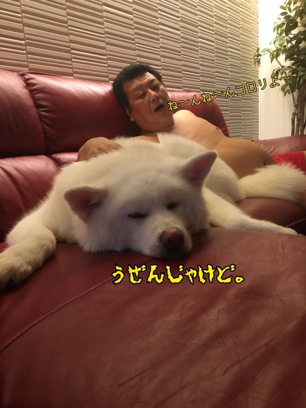 e0364035_20164386.jpeg