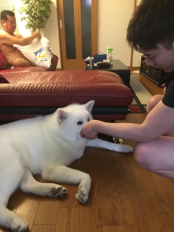 e0364035_20202753.jpeg