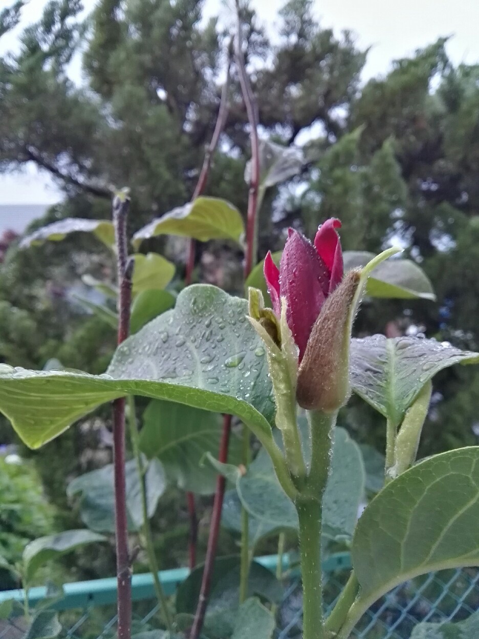 c0234938_18402729.jpg