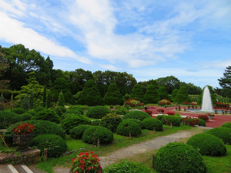 植物園の噴水庭園の花々20180820_e0237645_18471516.jpg