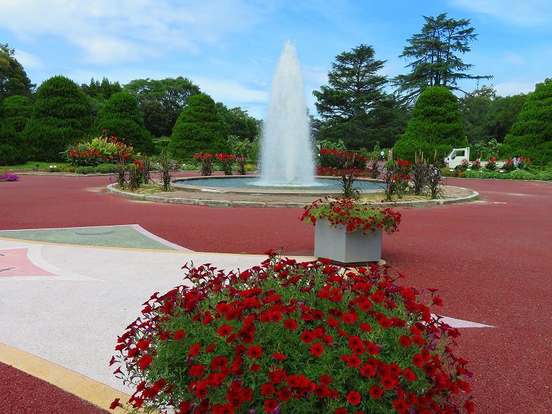 植物園の噴水庭園の花々20180820_e0237645_18471520.jpg