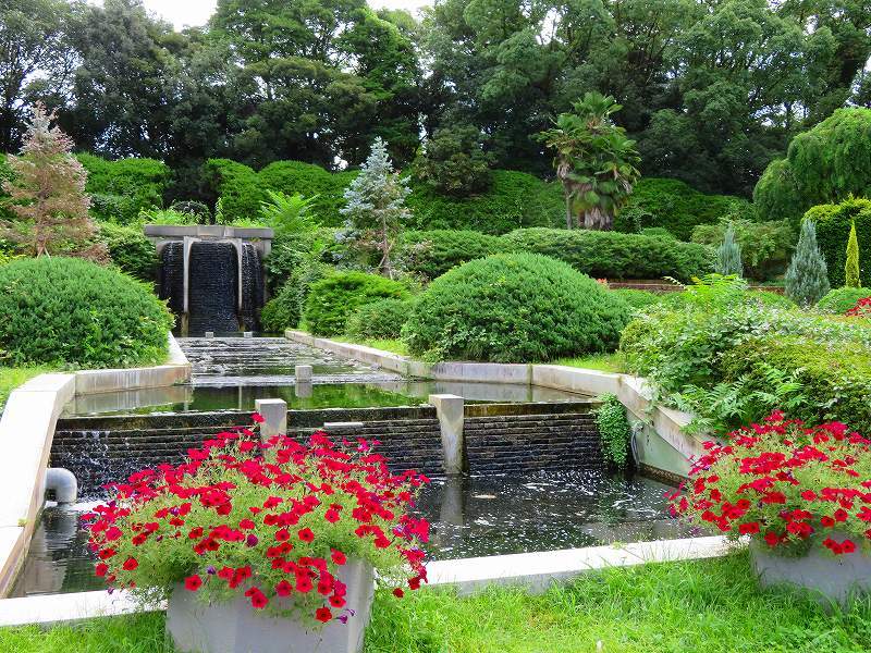 植物園の噴水庭園の花々20180820_e0237645_18471592.jpg