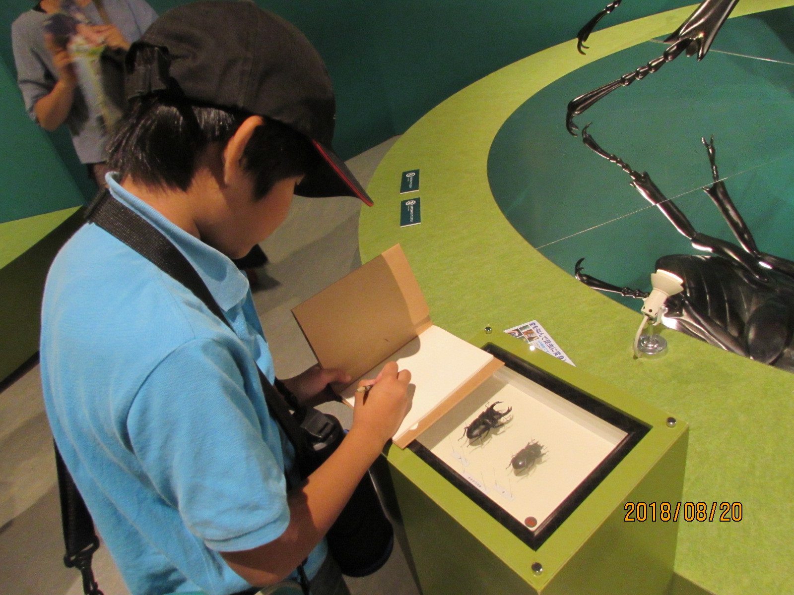 English Boot Camp 課外活動! 昆虫展!_e0351952_13015525.jpg