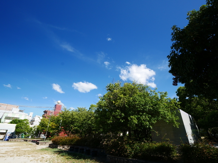 　　街なかの公園にて　　２０１８-０８-２３　００：００_b0093754_21453841.jpg