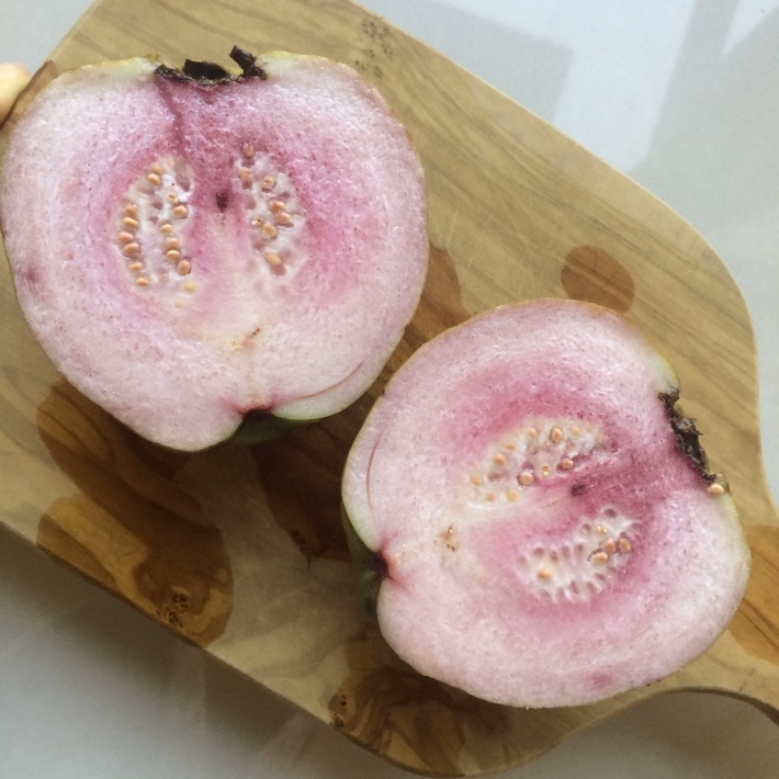 台湾の果物 グアバ 紅心芭樂と紫芋芭樂 そこはかノート ー台湾つれづれー 台湾の果物 グアバ 紅心芭樂と紫芋芭樂 そこはかノート ー台湾つれづれー