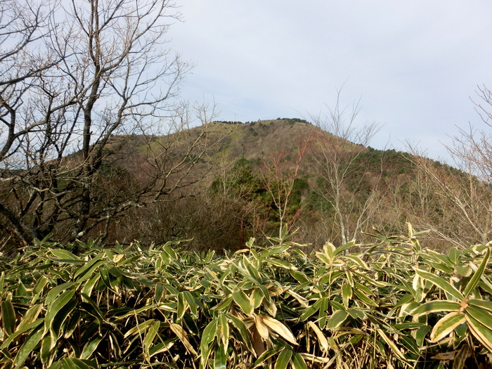 No489岡山　三坂山は通行止め、櫃ケ山は猿にて撤退、星山へ_b0185573_14335947.jpg