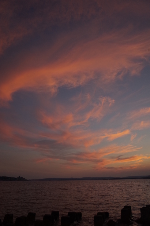 a0206577_13434756.jpg