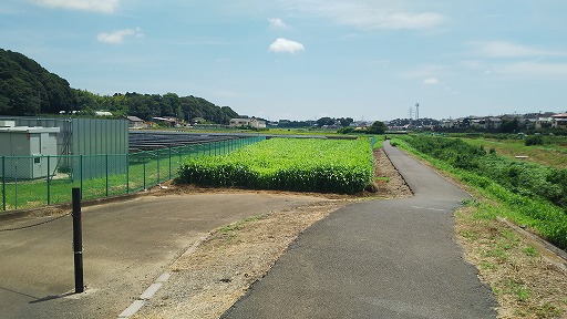 e0020682_1917118.jpg