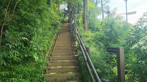 e0020682_1934164.jpg