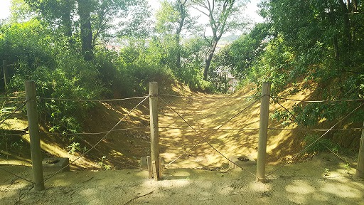 e0020682_1938041.jpg