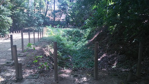 e0020682_1939020.jpg