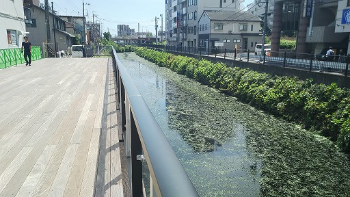 e0020682_1956632.jpg