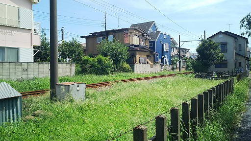 e0020682_20221162.jpg