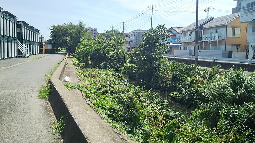 e0020682_206760.jpg
