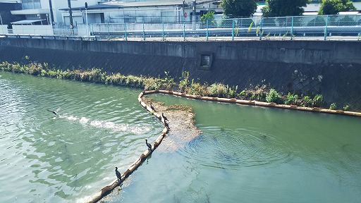e0020682_21382989.jpg