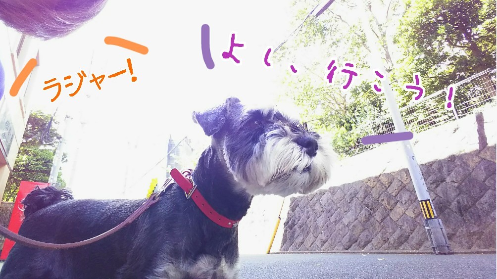 向かい風にも負けず😆👍_f0357682_12192637.jpg