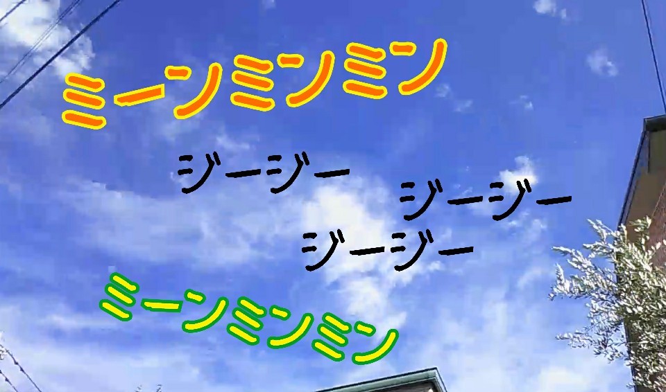 向かい風にも負けず😆👍_f0357682_12192742.jpg