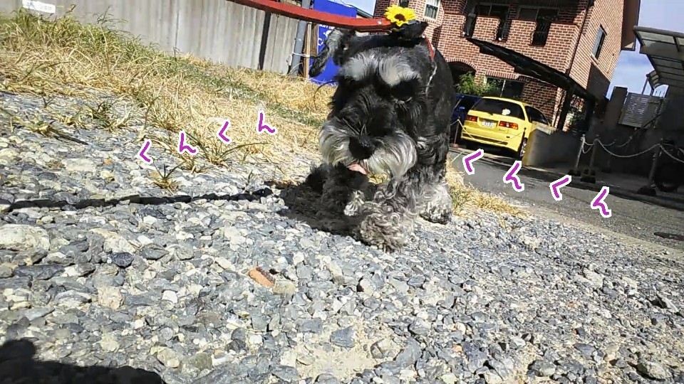 向かい風にも負けず😆👍_f0357682_12211730.jpg