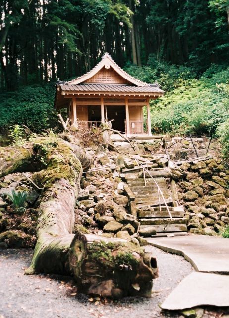 潮井水源のいま ティダぬファの雑記帳 潮井水源のいま ティダぬファの雑記帳