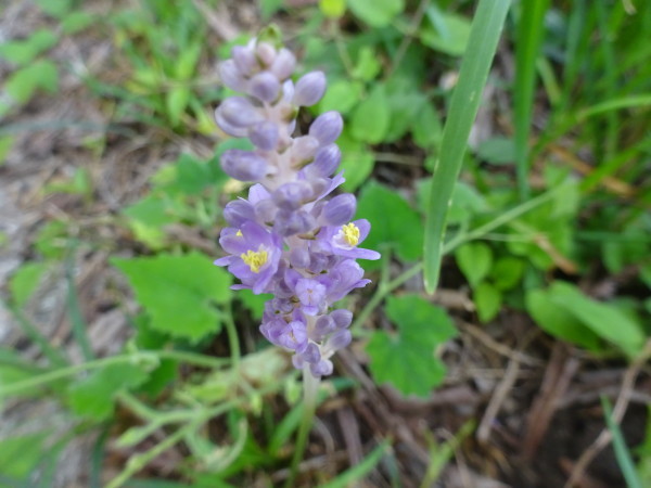 f0231709_10375907.jpg