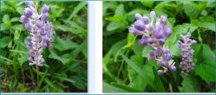 f0231709_10391448.gif