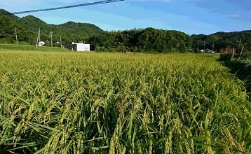 f0371014_08273431.jpg