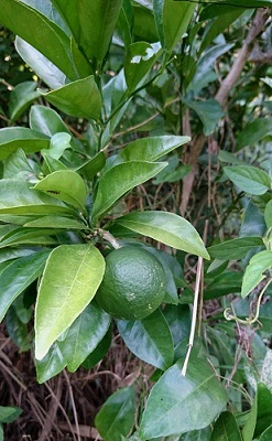 f0371014_08275082.jpg