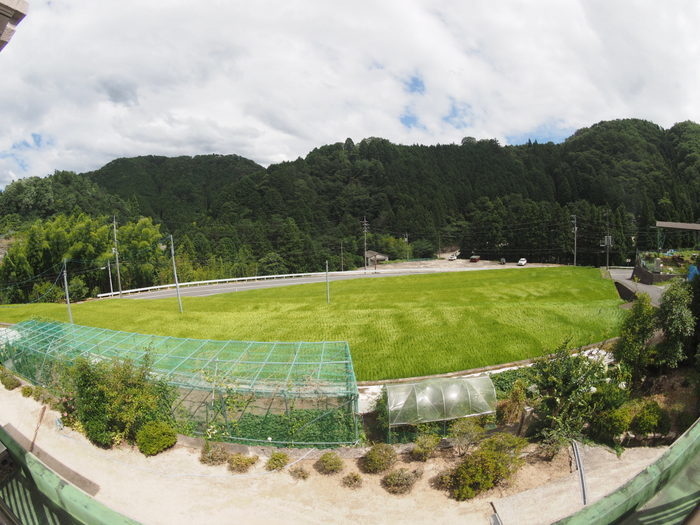 午後、晴れた_c0116915_00122956.jpg