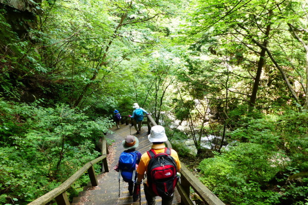 渓谷と滝が織りなす　乙女渓谷　下山 編_d0170615_08355065.jpg